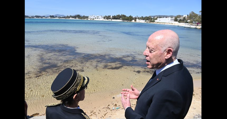 Hammamet : Saïed souligne la nécessité d’appliquer la loi pour préserver le domaine public maritime