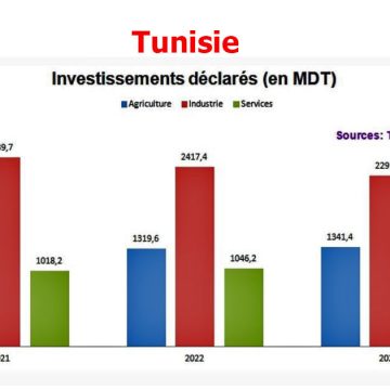 La Tunisie peine à relancer l’investissement dans un climat de suspicion généralisée