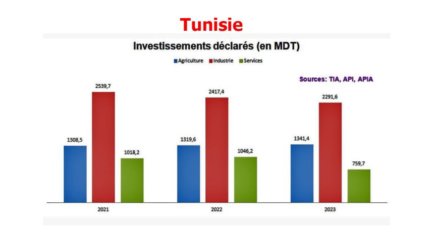 La Tunisie peine à relancer l’investissement dans un climat de suspicion généralisée