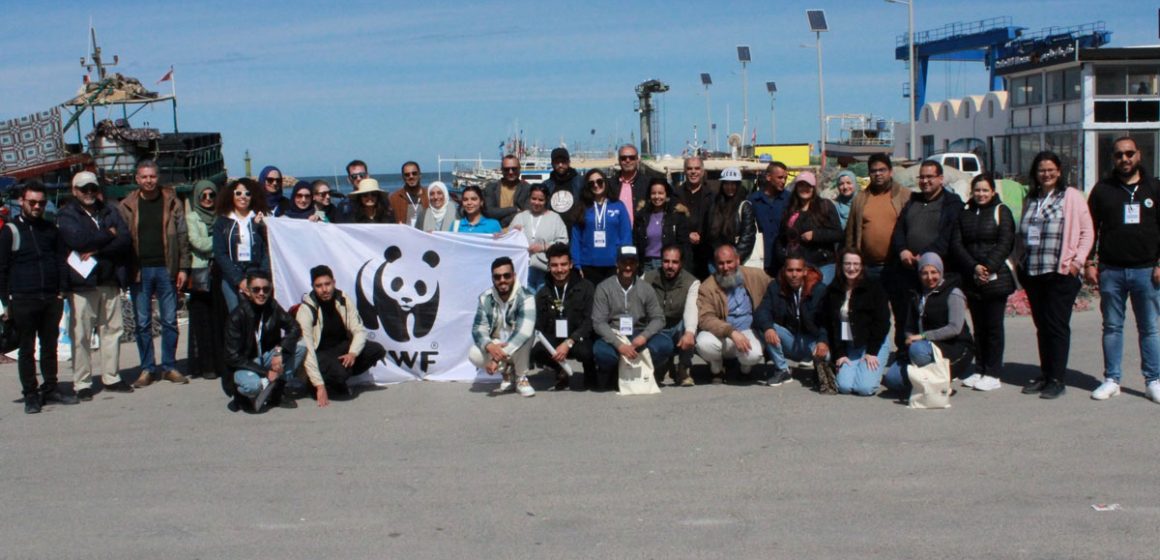 Le plastique représente l’essentiel des déchets du milieu marin côtier en Tunisie