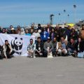 Le plastique représente l’essentiel des déchets du milieu marin côtier en Tunisie
