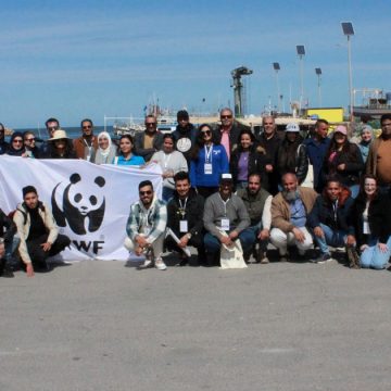Le plastique représente l’essentiel des déchets du milieu marin côtier en Tunisie