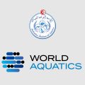 Un bureau provisoire dirigera la Fédération tunisienne de natation