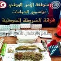 Hammamet : Une étrangère et un Tunisien arrêtés pour trafic de drogue