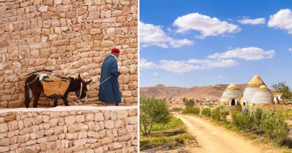 Hautes et sèches : explorer les montagnes du Dahar en Tunisie