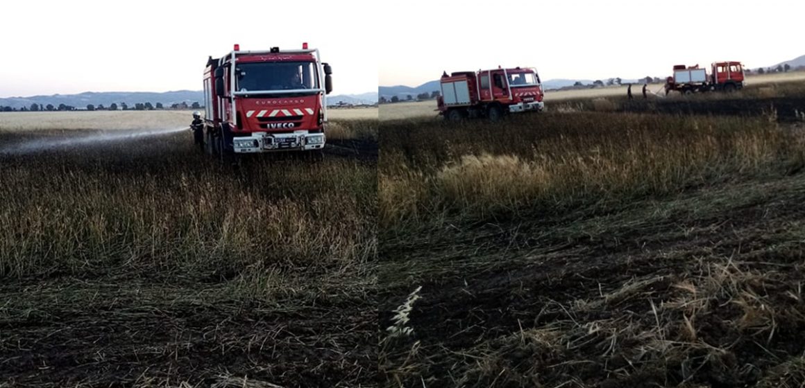 Protection civile : Un incendie dans un champ de blés maîtrisé à Jendouba