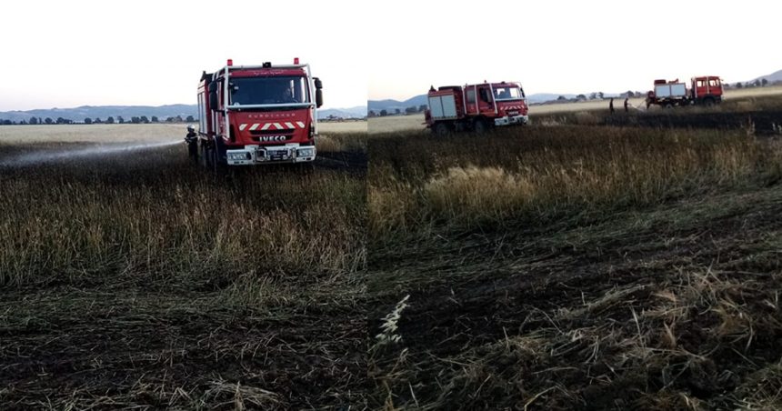 Protection civile : Un incendie dans un champ de blés maîtrisé à Jendouba