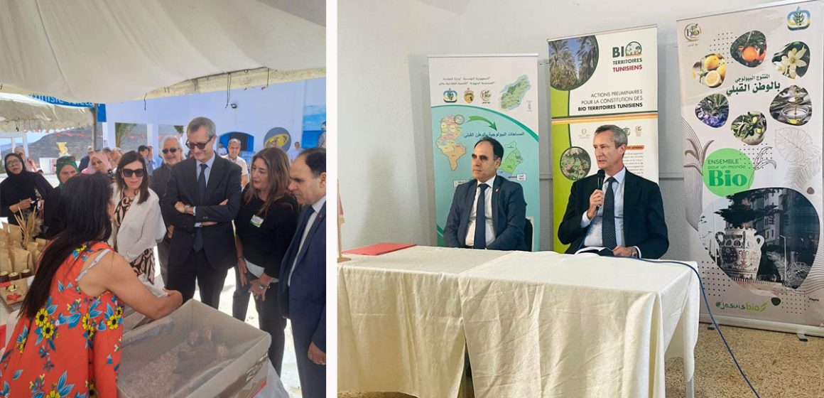 L’Italie cherche à promouvoir les bio-territoires en Tunisie