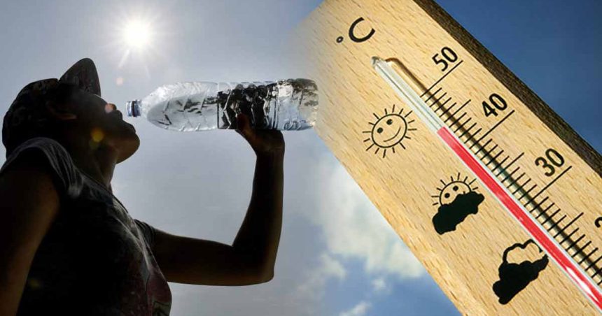 Tunisie : les températures atteindront 49°C dans le sud-ouest