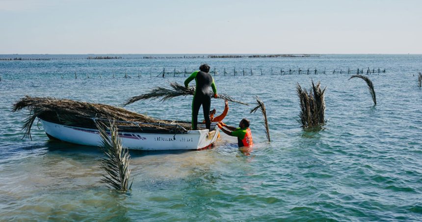 Charfia Road pour découvrir la pêche traditionnelle à Kerkennah