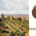 Adonis Olive Oil sélectionnée meilleure huile d’olive tunisienne au Joop 2024