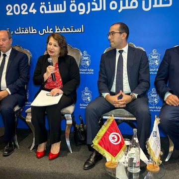 Promis juré, il n’y aura pas de coupures d’électricité cet été en Tunisie  