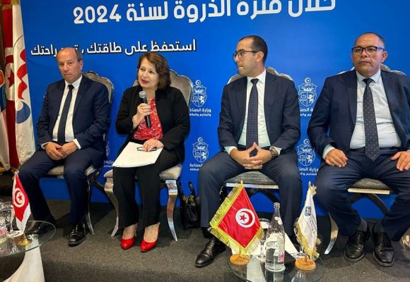 Promis juré, il n’y aura pas de coupures d’électricité cet été en Tunisie  