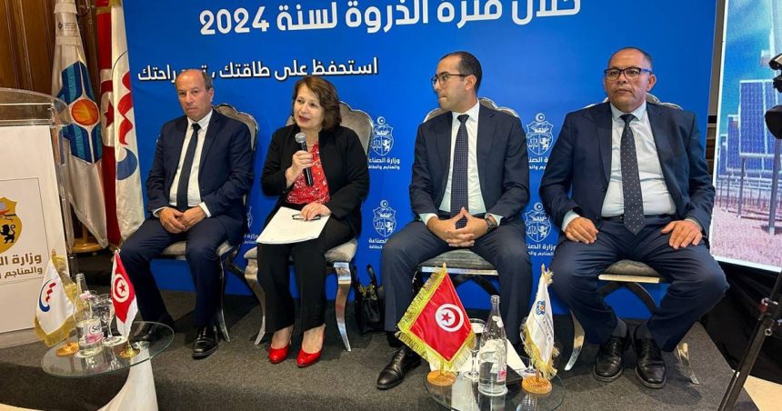 Promis juré, il n’y aura pas de coupures d’électricité cet été en Tunisie  