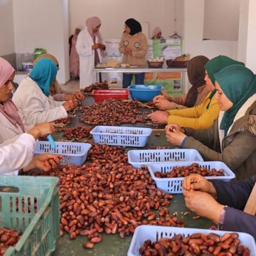 Clôture d’un programme onusien pour promouvoir l’inclusion socio-économique des femmes en Tunisie