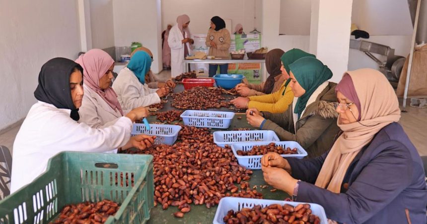 Clôture d’un programme onusien pour promouvoir l’inclusion socio-économique des femmes en Tunisie