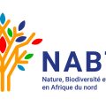 Nabta accompagne les projets pro-nature au sud de la Méditerranée