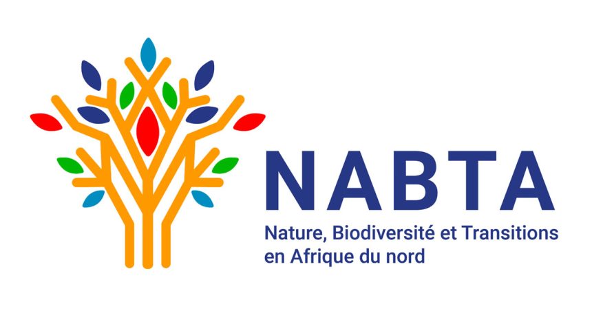 Nabta accompagne les projets pro-nature au sud de la Méditerranée