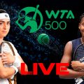 Ons Jabeur vs Coco Gauff en live streaming : Berlin Open 2024