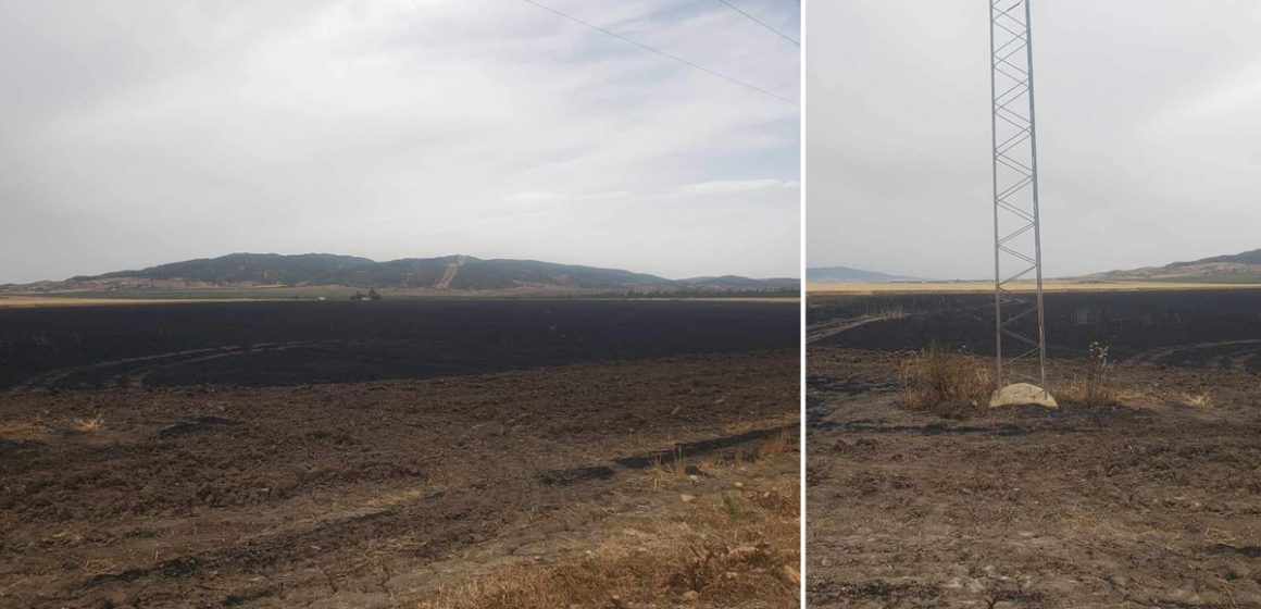 Incendie à Siliana : 20 hectares de blé ravagés par les flammes