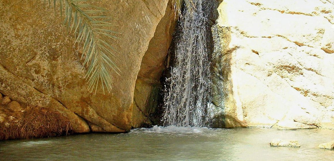 Après trois jours de canicule, baisse des températures sur la Tunisie