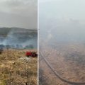 Incendie à Ghardimaou : 5 hectares ravagés par les flammes