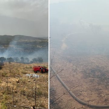 Incendie à Ghardimaou : 5 hectares ravagés par les flammes
