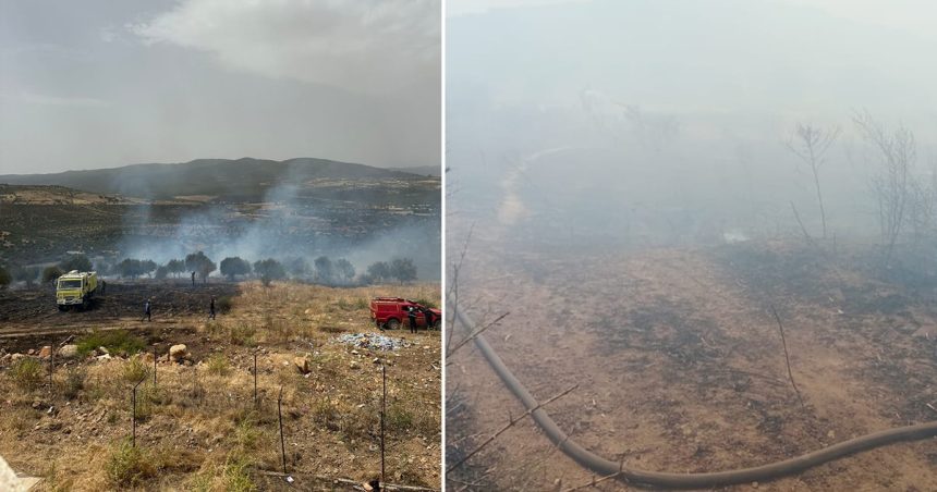 Incendie à Ghardimaou : 5 hectares ravagés par les flammes