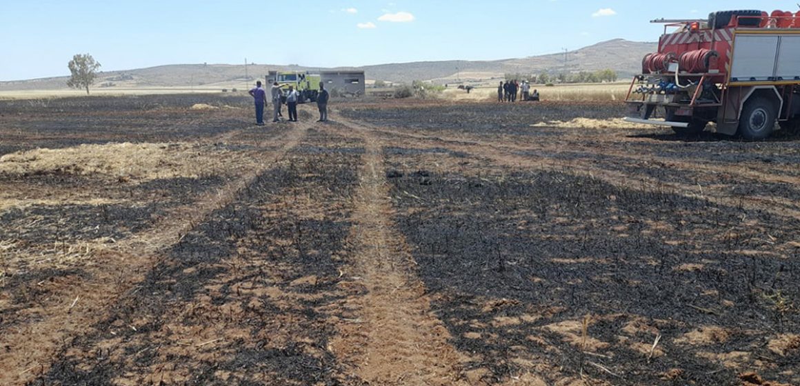 Jendouba : Un incendie ravage un hectare de blé à Oued Meliz