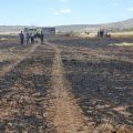 Tunisie | 134 feux de forêts depuis le début de l’été