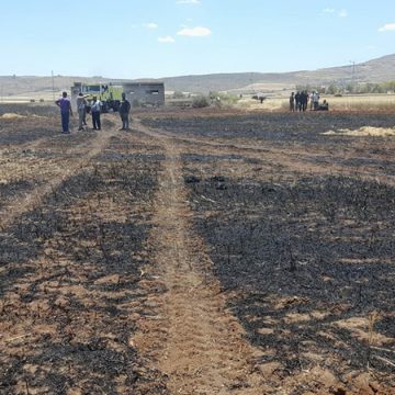 Jendouba : Un incendie ravage un hectare de blé à Oued Meliz