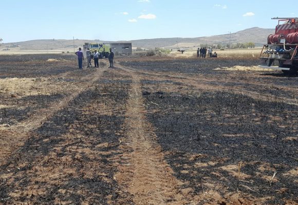 Jendouba : Un incendie ravage un hectare de blé à Oued Meliz