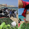 Tounes Clean-Up : Opération de nettoyage de la plage La Grotte à Bizerte (Photos)