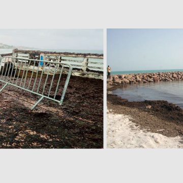 Lutte contre l’érosion du littoral en Tunisie ou l’art de ménager la chèvre et le chou