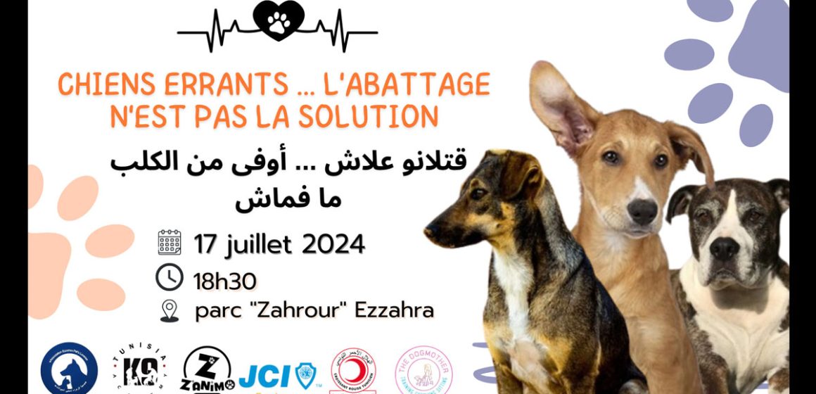 Ezzahra Pet’s Lovers se mobilise contre l’abattage des chiens errants