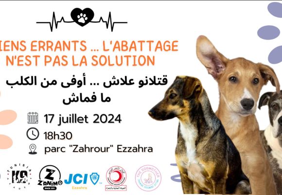 Ezzahra Pet’s Lovers se mobilise contre l’abattage des chiens errants