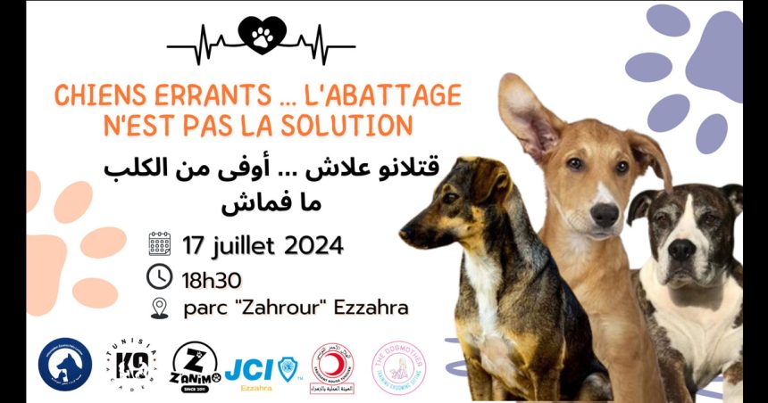 Ezzahra Pet’s Lovers se mobilise contre l’abattage des chiens errants