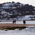 Tunis : arrestation d’un trafiquant de drogue à la Marsa  