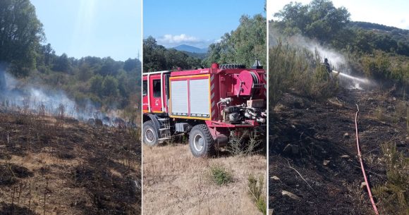 Incendie à Aïn Draham : Deux hectares ravagés par les flammes