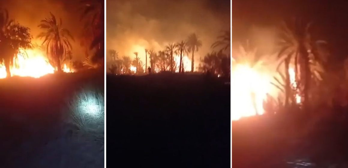 Tozeur : 10 hectares ravagés par un incendie dans la palmeraie d’El Hamma du Djerid