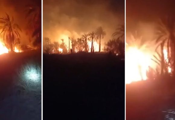 Tozeur : 10 hectares ravagés par un incendie dans la palmeraie d’El Hamma du Djerid
