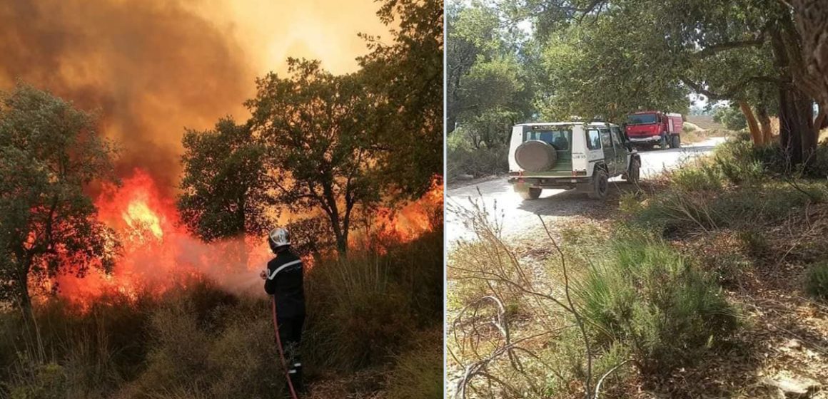 Trois incendies à Béja : Plus de 7 hectares ravagés par les flammes