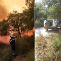 Trois incendies à Béja : Plus de 7 hectares ravagés par les flammes