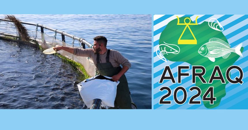 Aquaculture Africa 2024 en bonne voie pour avoir lieu en Tunisie