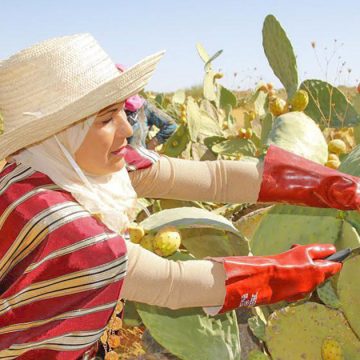 La masculinité toxique pénalise les femmes et nuit à l’économie en Tunisie  