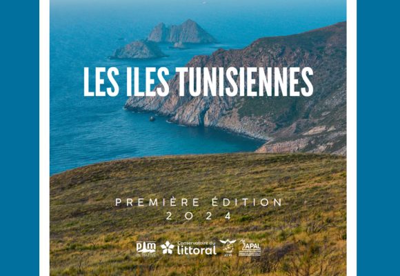 Les îles tunisiennes sont d’authentiques joyaux de biodiversité