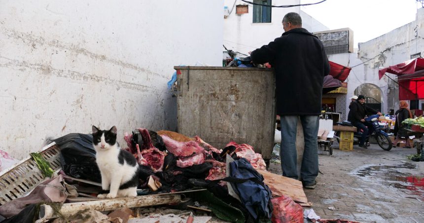 Les Tunisiens sont-ils sales ?