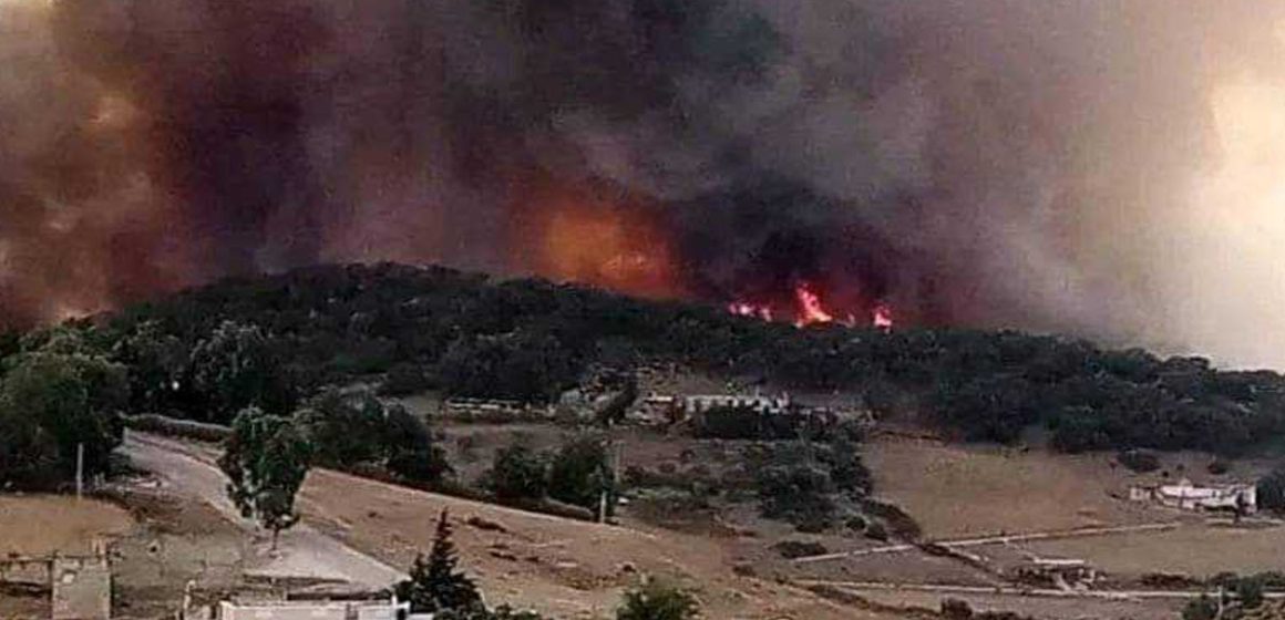 Tunisie : L’incendie de Sejnane en grande partie maîtrisé