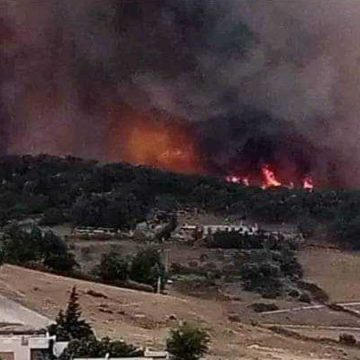 Tunisie : L’incendie de Sejnane en grande partie maîtrisé