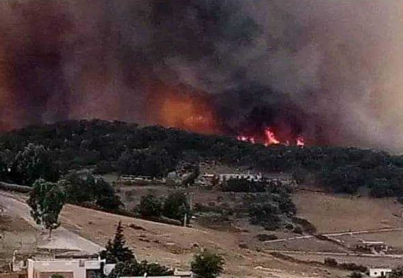 Tunisie : L’incendie de Sejnane en grande partie maîtrisé